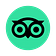 TripAdvisor Reviews